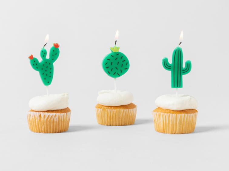 Velas en forma de Cactus (6 Velas)